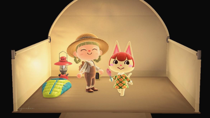 あつ森・キャンプサイト 特定の住民入れ替え方法～ジュン様が来たので勧誘してみた～ - マイミーボックス