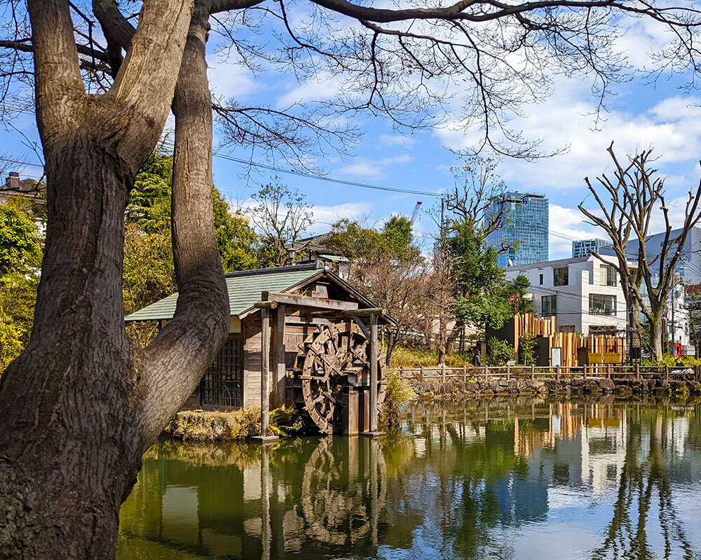 鍋島松濤公園 東京都渋谷区 公園専門メディアPARKFUL
