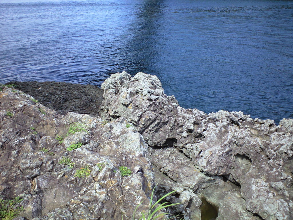 くしもと大橋釣太郎ホームページ