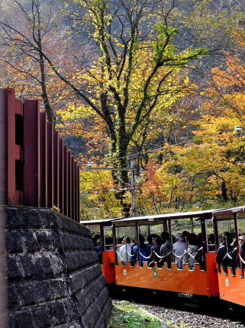 真っ赤な橋が燃える山肌に映える黒部峡谷トロッコ電車と紅葉日本の絶景 JTB 感動の瞬間