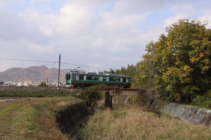 JR加古川線利用促進へ！JR加古川線リレーマルシェ🚃 『2025へそマルシェ』開催！ 🚉🚃🚃🚃🚉🔶日時：2025年8月9日 土 16：30～20：00