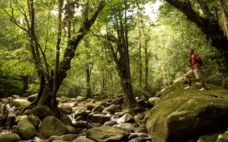 5 14 タマンネガラ国立公園への行き方旅する葦