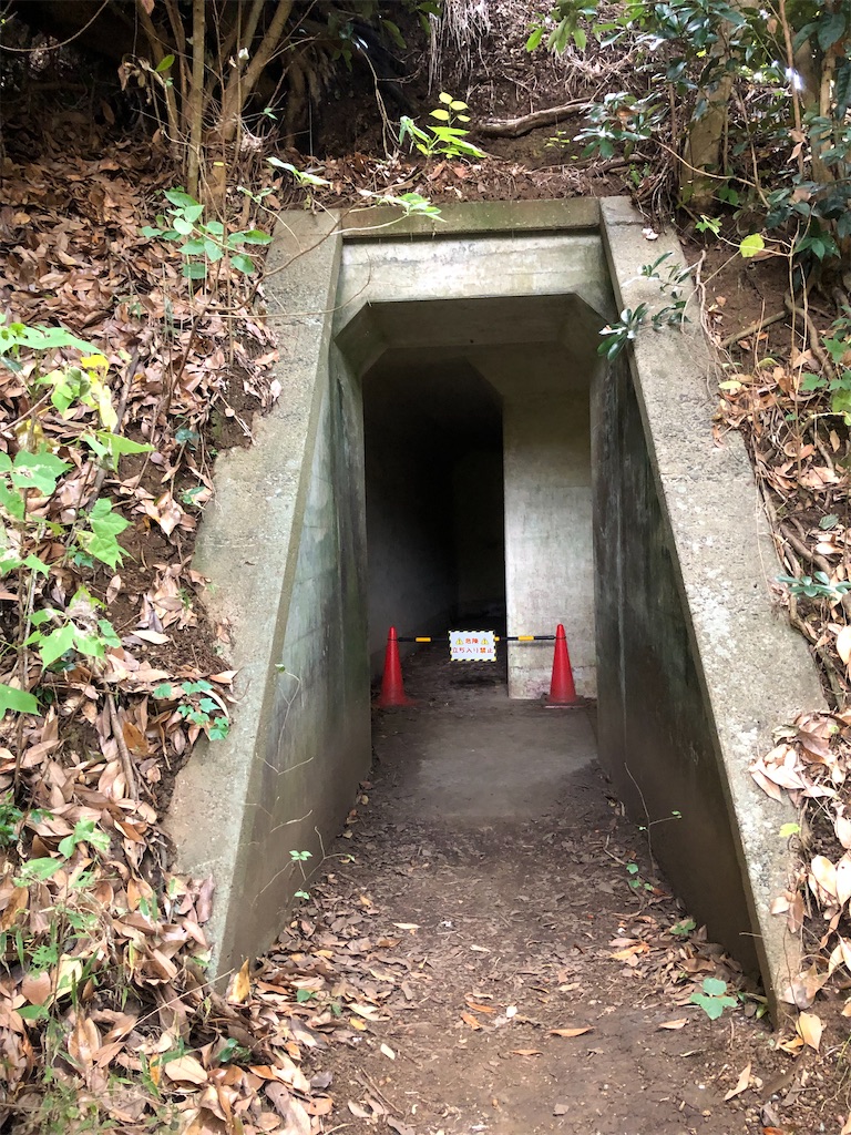 大房岬 要塞群 :