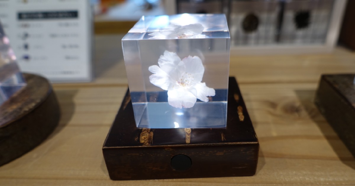 ウサギノネドコ 京都店 -