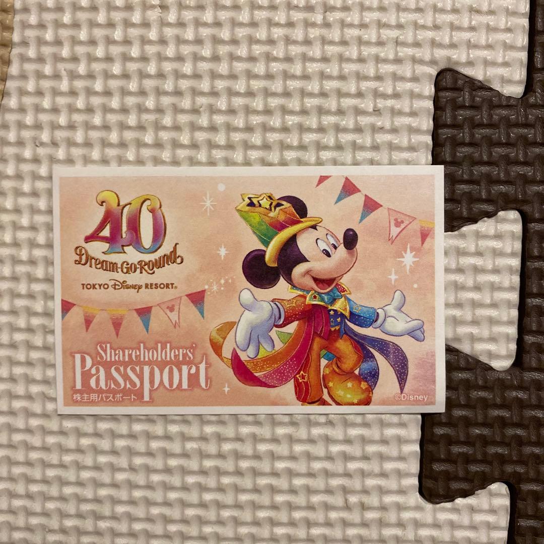 東京ディズニーリゾート15周年絵柄パークペアチケットペア切手可