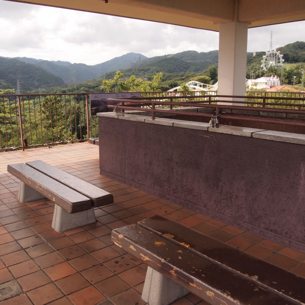 025 日立かみね公園茨城県の名所 海・山・花・歴史