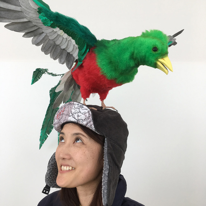 あなたが選ぶ！水曜どうでしょうベストDVD あなたが書く！DVD推薦コメント