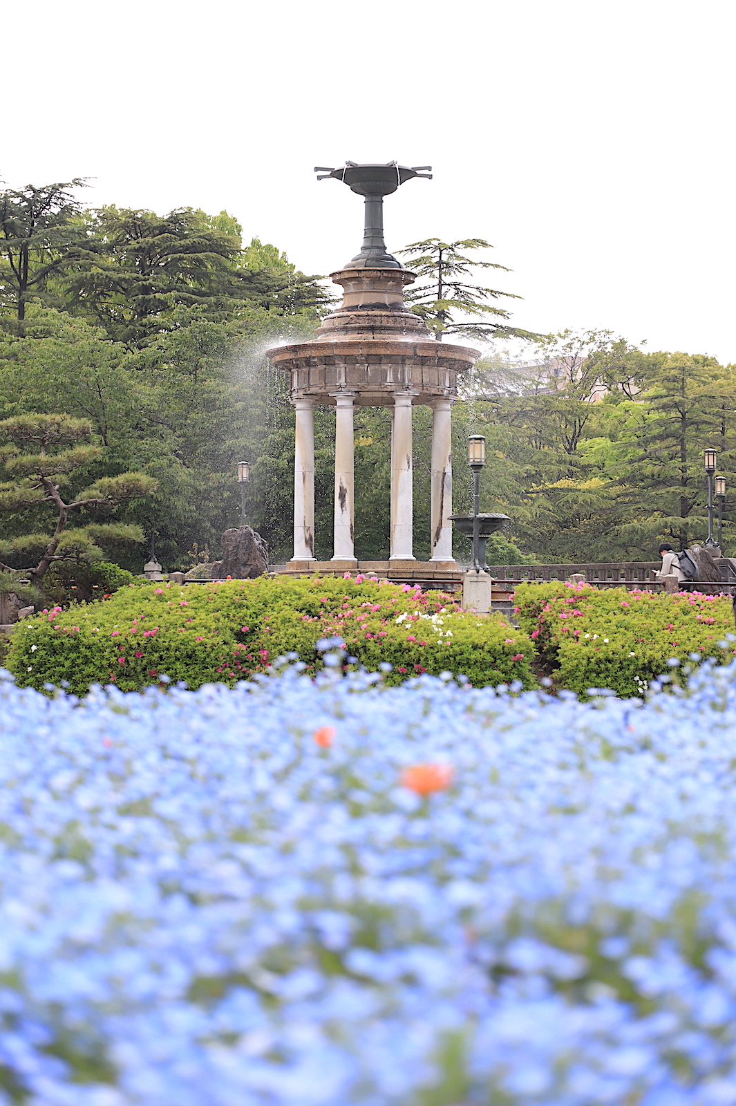 NEMOPHILA × デーモン閣下 6