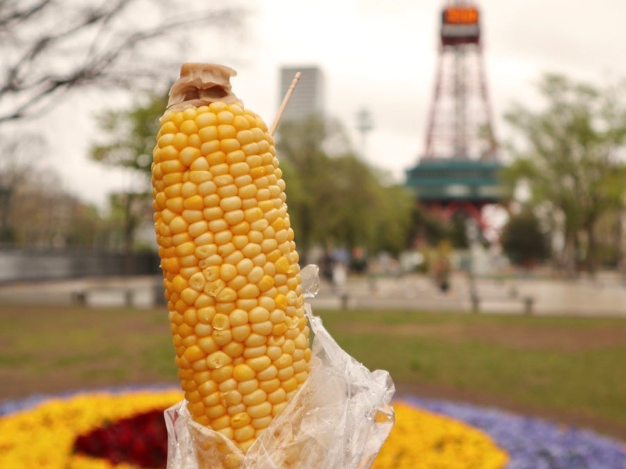 さっぽろ雪まつり大通会場にとうきび🌽を販売している売店がある様ですが、大通公園とうきびワゴンは6丁目会場だけの出店です間違えの無いお買い物宜しくお願いしま〜す🤗 ⁡大通公園焼きとうもろこし焼きとうきびとうきびとうもろこしじゃがバターとうきび