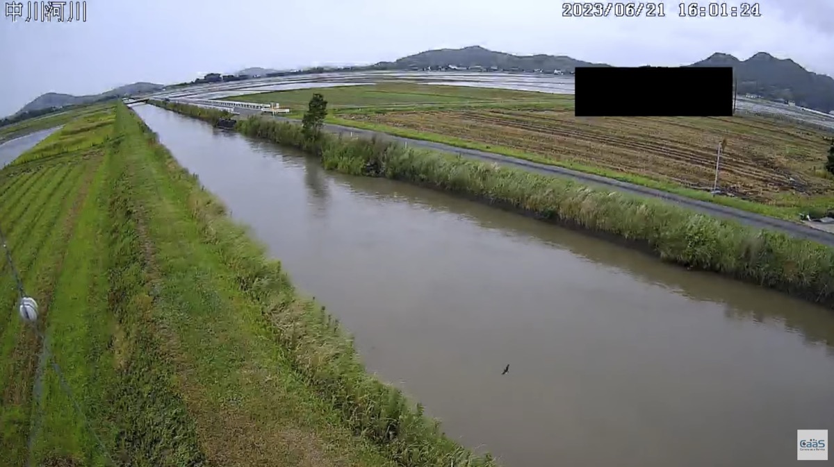 氾濫危険水位を超過した翌日に仁保川を遡上してみた