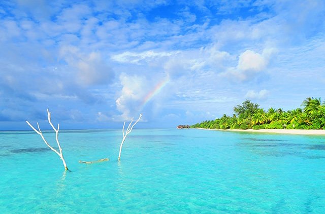 15,148,600点を超える海外旅行のストックフォト、写真、そしてロイヤリティフリーの画像 - iStock空港,
