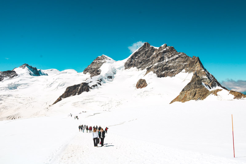 🇨🇭ユングフラウヨッホ往復のチケットの価値：高額なチケットに見合う魅力とは？🇨🇭🇨🇭スイス暮らし🇨🇭by swissalps