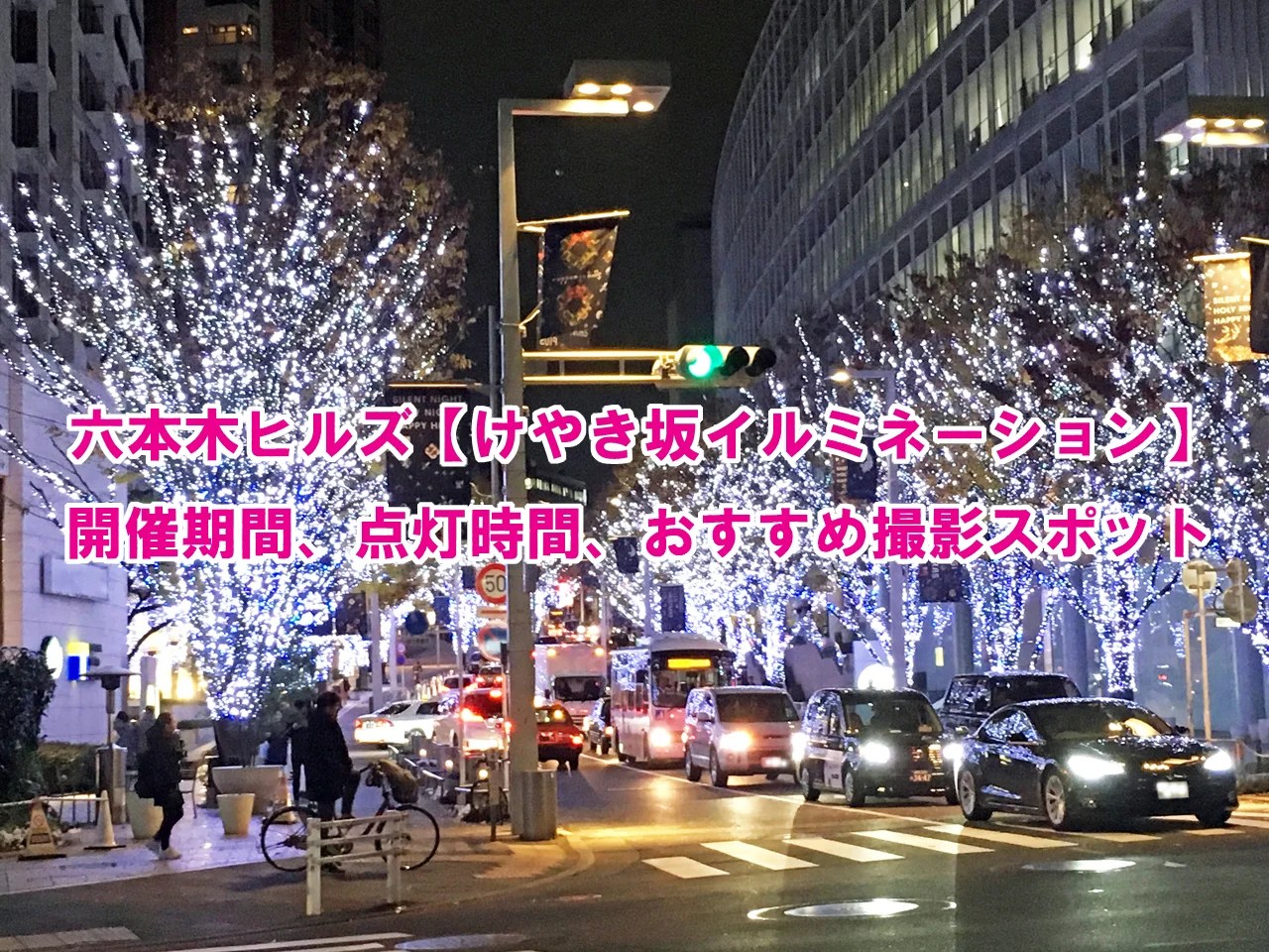 光のトンネルを駆け抜ける車で走れるイルミネーション 都内3選