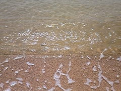 閉鎖ビーチに思わぬ人波 救護所なく 水難事故懸念 - 日本経済新聞