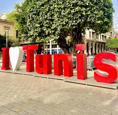 2024年5月 チュニジア 女一人旅④