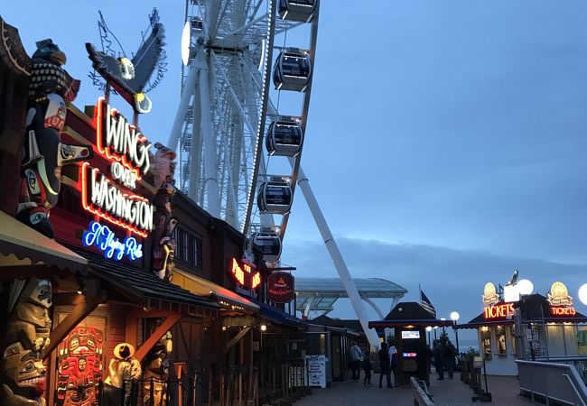 トム マッコール ウォーターフロント