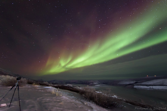 氷河から海へ流れ出す氷山＝グリーンランドのイルリサットで７月３日、中山由美撮影 - フォトギャラリー 13 27-