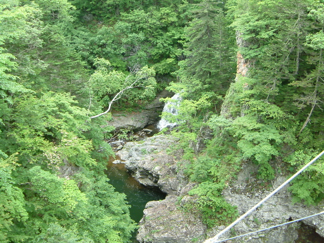 フライフィッシングレポートサイト「ADAMS」 - 釣り紀行