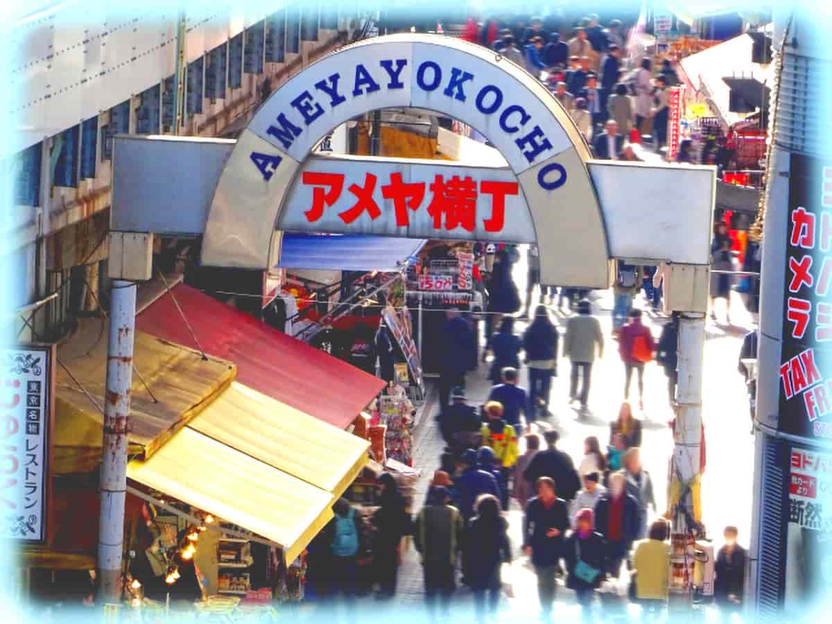 2025年最新 東京・上野エリアのおすすめ観光スポット25選！NEWT ニュート