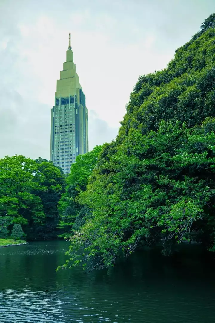 新海誠「言の葉の庭」聖地へ！「新宿御苑」風水の結界 新東京百景・東京都新宿区- 丘の街・多摩さんぽ〜TAMASAMPO「耳をすませば」「あらいぐまラスカル」ジブリの故郷＆パワースポット