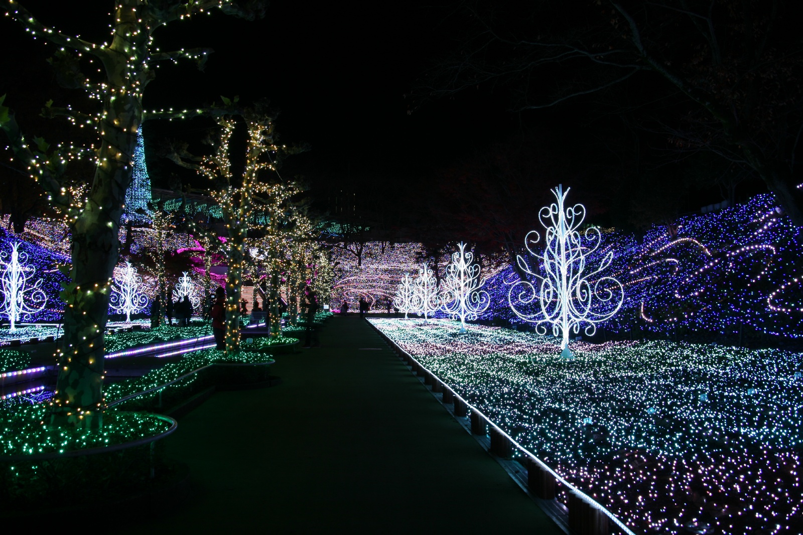 西武園ゆうえんち イルミネーション クチコミ・アクセス・営業時間所沢