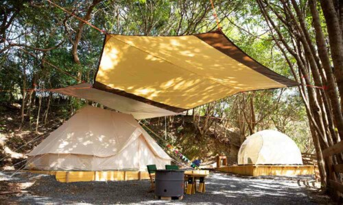 1日2名様限定 関西・大阪「ソロ活」は「ソログランピング」パームガーデン舞洲