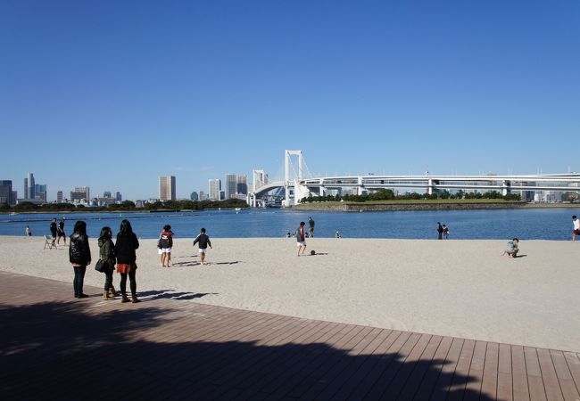 お台場イルミネーション 