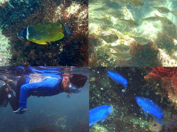 二の浜海岸遊歩道 アクセス・営業時間・料金情報 - じゃらんnet