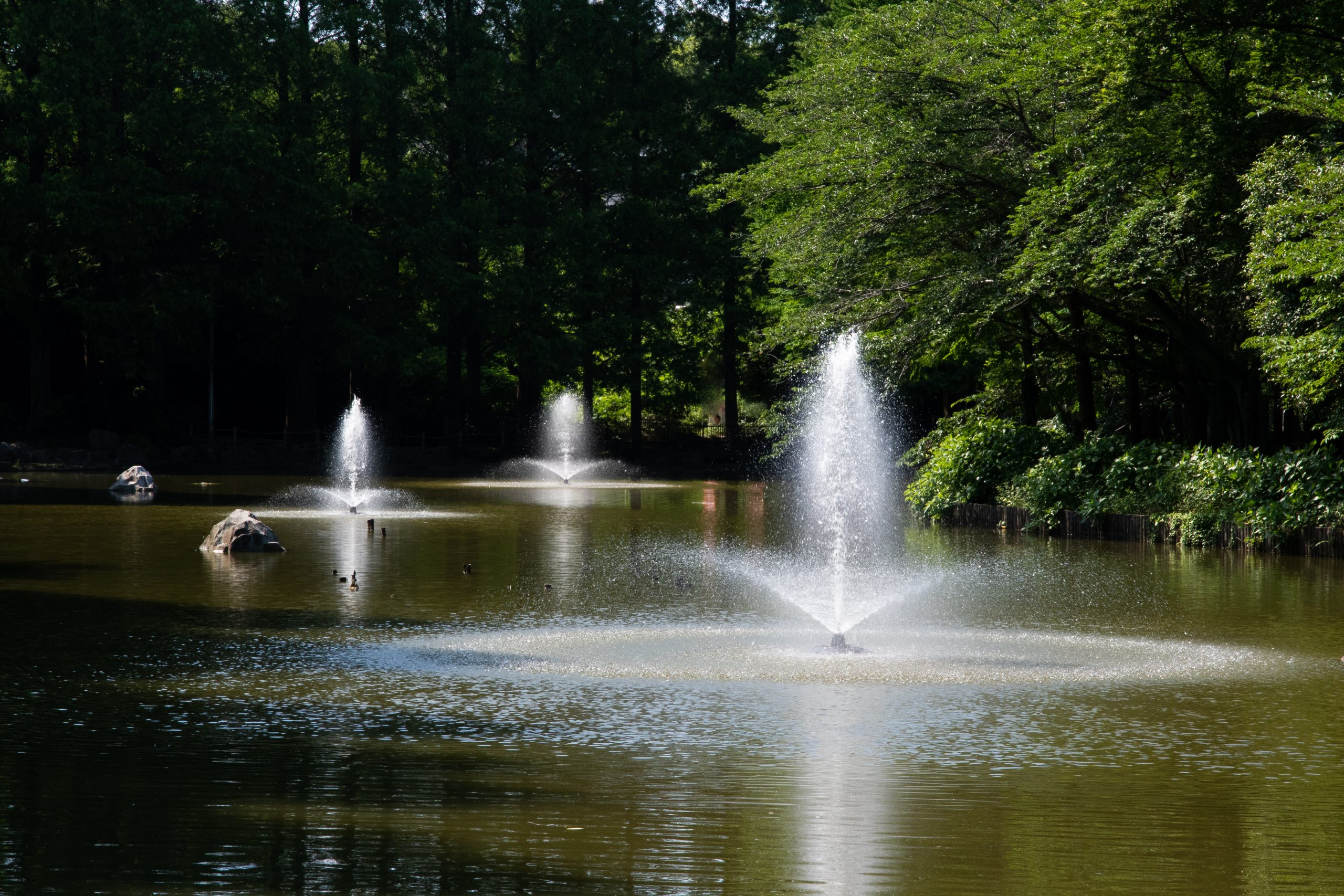 現地取材新鎌ケ谷駅周辺の住みやすさを解説！周辺施設や交通情報もソライエトピックス特集ソライエナビ