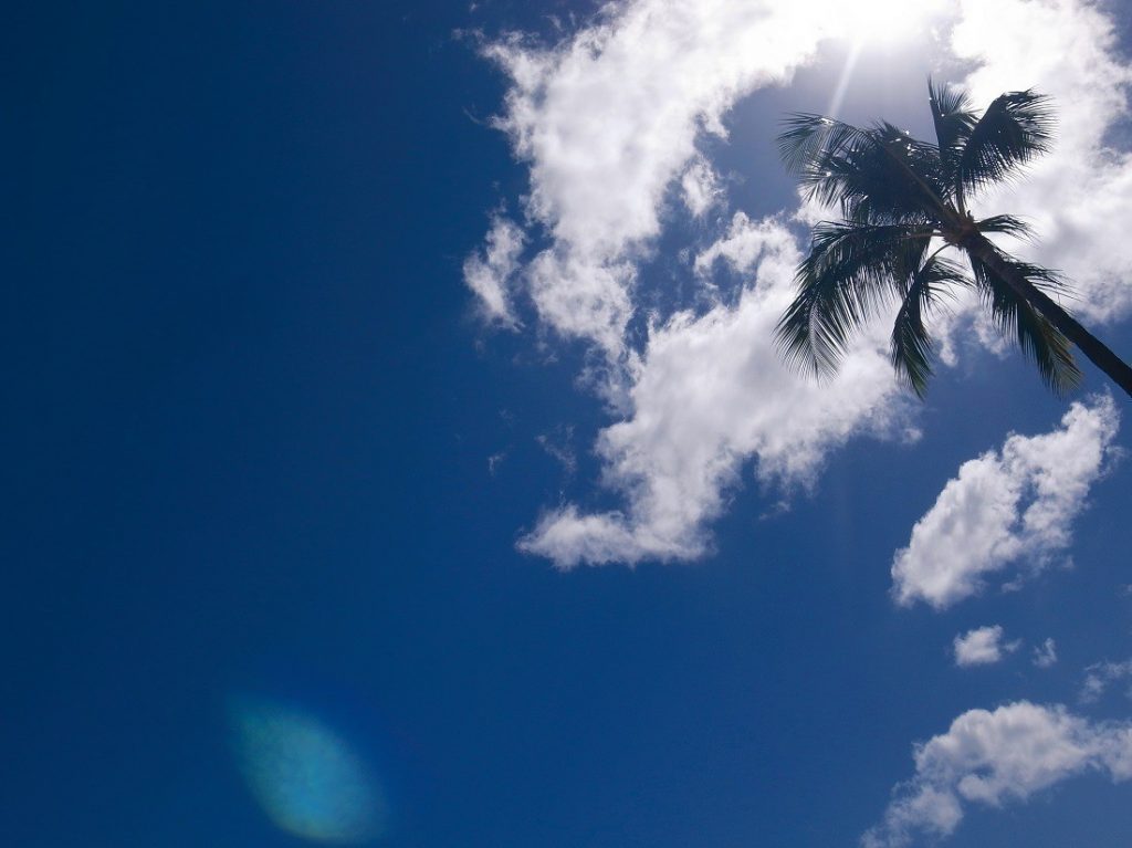 香里奈「あそこで練習していた」宇野昌磨に親近感 - 芸能 : 日刊スポーツ