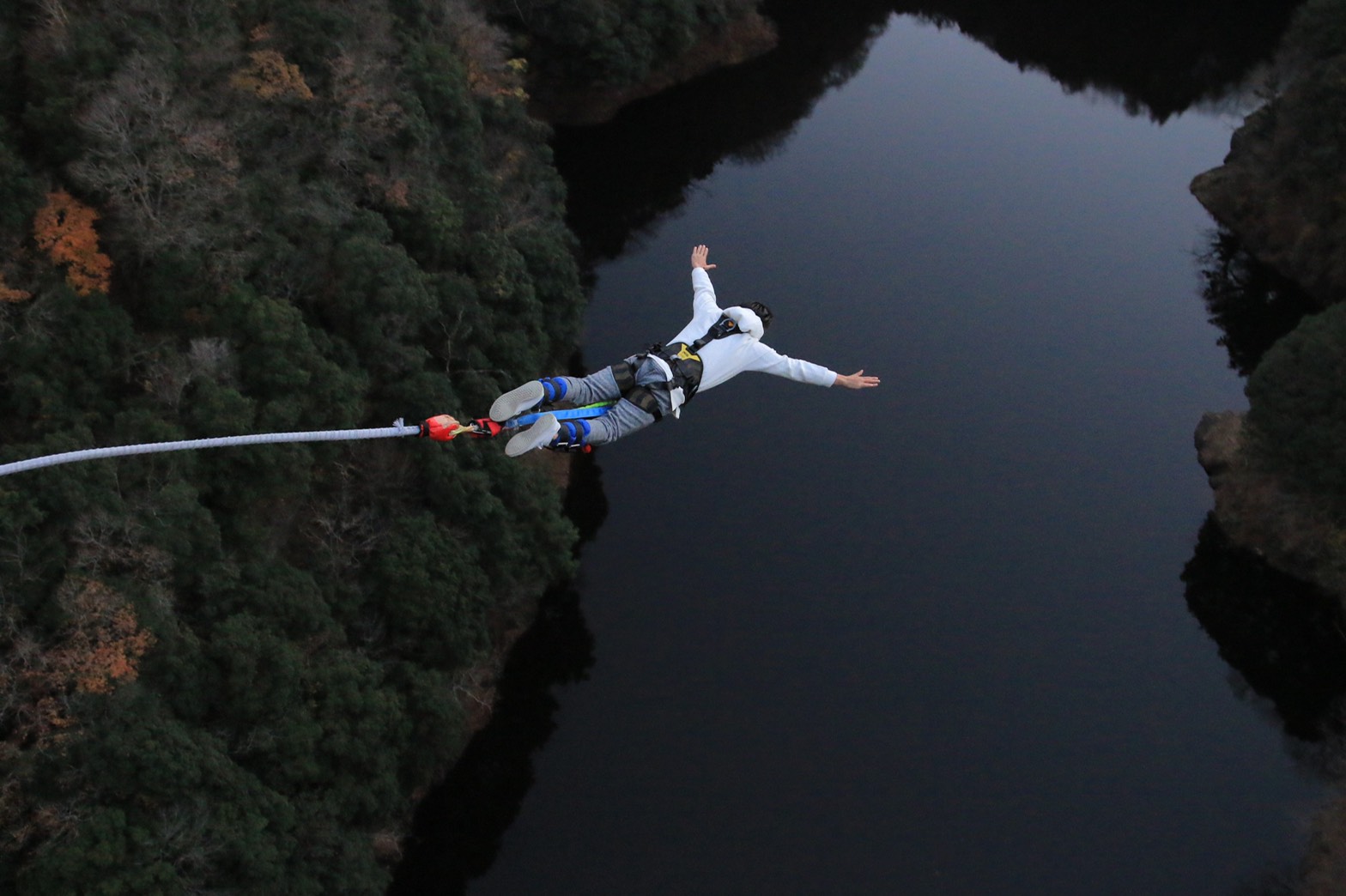 ひと味違う紅葉鑑賞！黄緑赤のカラフル絶景へ飛び込める「竜神バンジー」とは？ - LIVE JAPAN日本の旅行・観光・体験ガイド