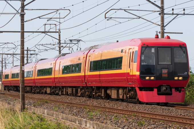 あしかがフラワーパーク日本夜景遺産