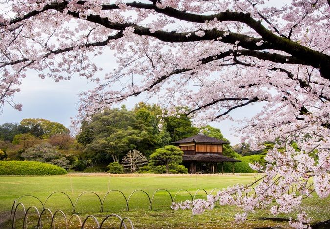 岡山後楽園 - 岡山後楽園