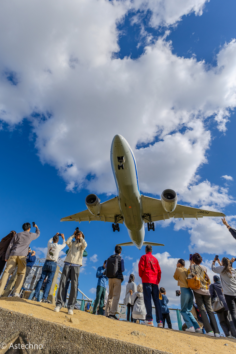 迫り来る恐怖に耐えられるか？！ー伊丹空港の穴場スポット・千里川土手ー 大阪府豊中市- ドットコムおおさか