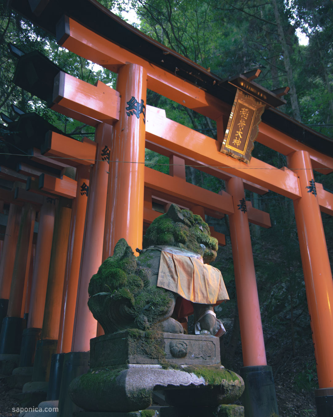 伏見稲荷大社 インスタ映え写真を撮るシンプルな裏技 行く前に知るべき