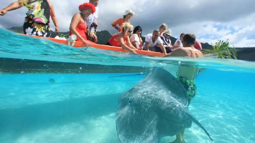 5,400点を超えるモーレア島のストックフォト、写真、そしてロイヤリティフリーの画像 - iStock