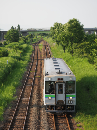 道央菜の花紀行鉄道写真