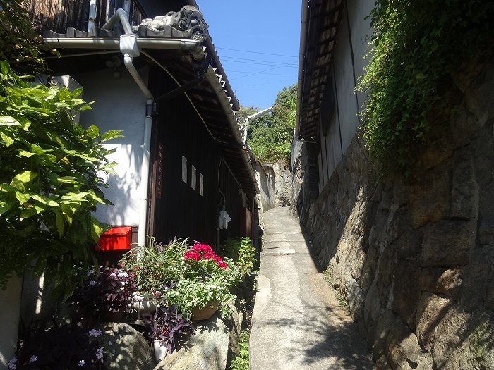 千光寺 広島県 の情報ウォーカープラス