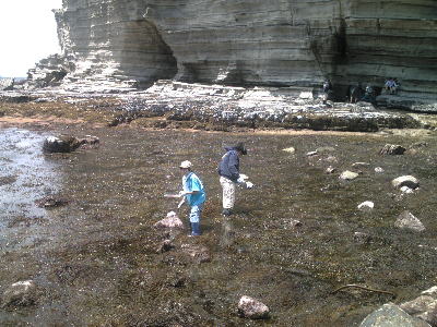 勝浦市の観光地 鵜原理想郷 の見所・駐車場・駅からの所要時間 –