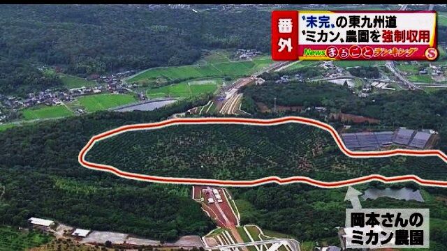 みかん狩り 松本農園 プラン公式 神奈川県のお出かけ・観光・旅行サイト「観光かながわNOW」