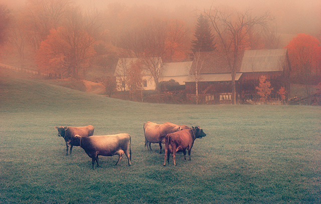 My favorite Diner in Dallas