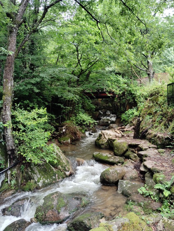 多彩なアクティビティと温泉で最高の1日！「レジャー＆スパリゾート ASOBIYUKU 京都るり渓温泉」楽天トラベル