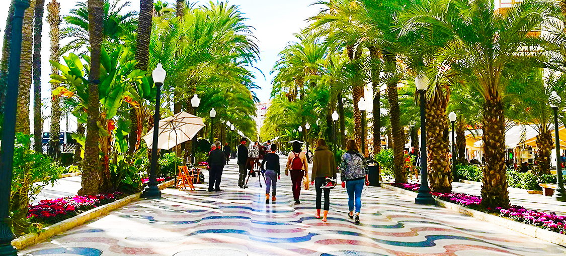 気候 : アリカンテ, , スペイン