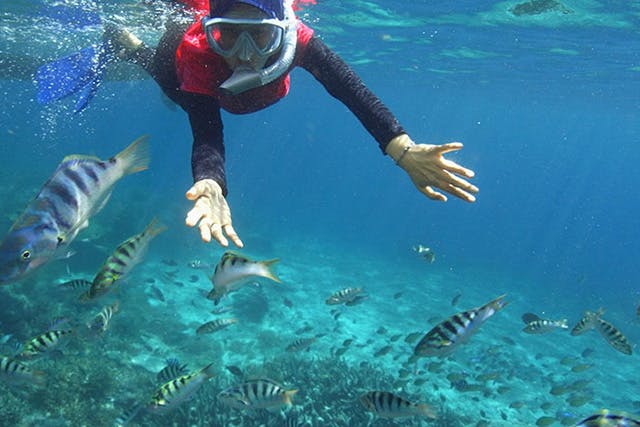 豪華すぎる🫢モルディブの水上コテージ シュノーケリングを満喫🤿✨