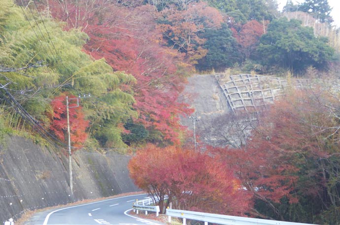 2022.11.13現在🍁紅葉状況,もみじロードもみじ🍁,紅葉状況2022紅葉,富津市志駒山中,志駒川志駒川渓谷 ,見頃はこれから ,場所によっては見頃,県道182号千葉県,安全運転で楽しみましょう,富津市観光協会,ｰｰｰｰｰｰｰｰｰｰｰｰｰｰｰｰｰｰ,