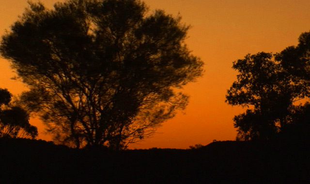 オーストラリアのマタニティー・授乳ブラ: Bondsが使い心地抜群 - ままこあらの育児ブログ