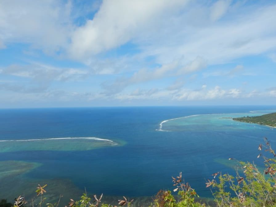 モーレア島の魅力＆楽しみ方海外旅行のSTW