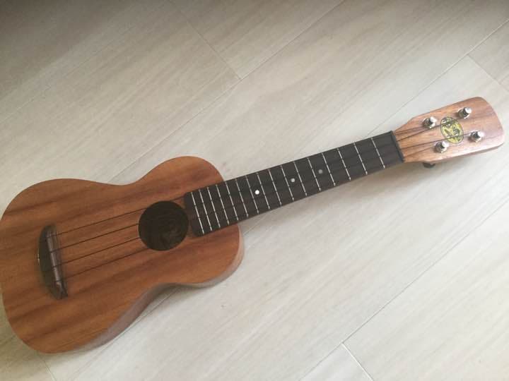 ハワイ ウクレレ 小物入れ① ハワイアン雑貨