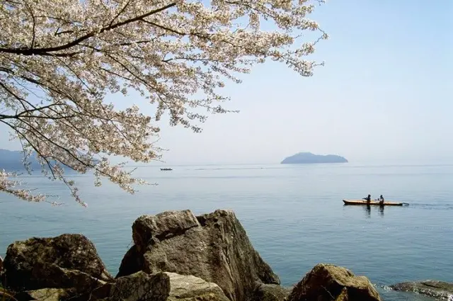 海津大崎へのアクセス方法 公共交通機関、貸切バスバス旅ねっと