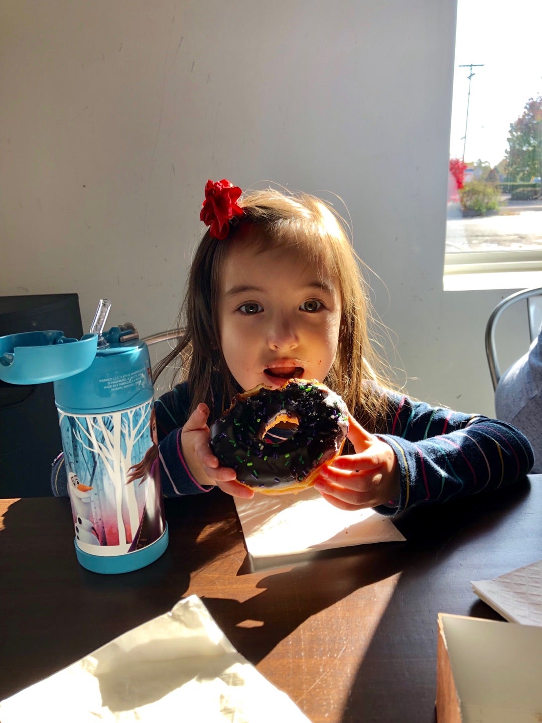 自然と共に生きるアーミッシュの人々』ペンシルベニア州 アメリカ の旅行記・ブログ